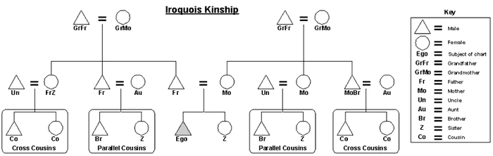 Graphic of the Iroquois kinship system