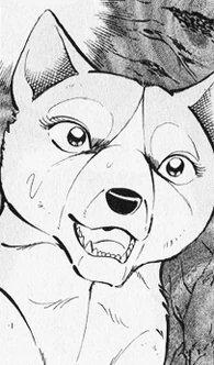 Sayoko05