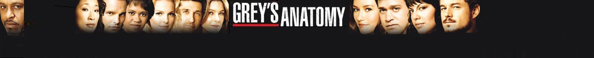 Datei:Greys_Banner.png