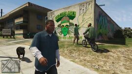 Franklin Grove-Street-GTAV