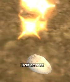 Œuf de moa