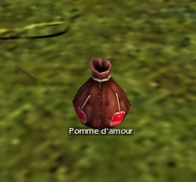 Pomme d'amour