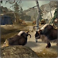 Descente du Yak