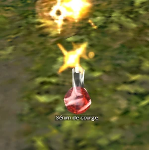 Sérum de courge