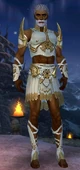 Armure de Lancier pour homme Parangon