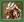 Chasse au monstre
