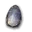 Carapace de Mandragore