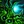 Enchantement corrompu