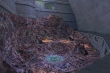 An underground habitat for Xen specimens in the Biodome Complex illustrates the facility's already existing interest of Xen