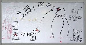 The written instructions on how to use the Magnusson Device