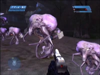 A group of Engineer's from Halo: CE mod on the level  The Silent Cartographer