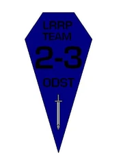 Insignia of Team 2-3