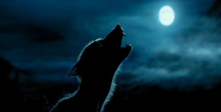Harry Potter - Werewolf 1
