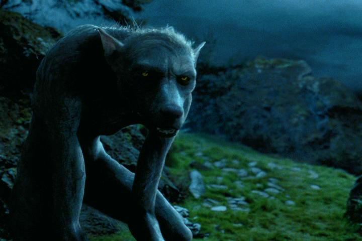 Harry Potter - Werewolf 2