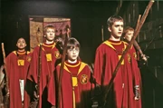 Oliver Wood and the Gryffindor Quidditch team.