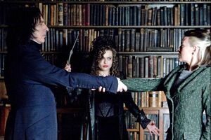 Bellatrix sealing the Unbreakable Vow between Narcissa and Snape.