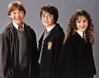 Ron, Harry, and Hermoine