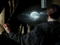 Remus's Boggart was the full moon, because it meant his transformation into a werewolf.
