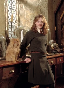 Hermione Granger and her pet Crookshanks.