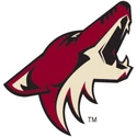 Phoenix Coyotes