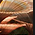 Era-Flora.png
