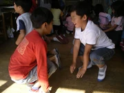 Two frogs