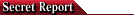 image:secretreports.png