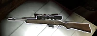 hunting rifle