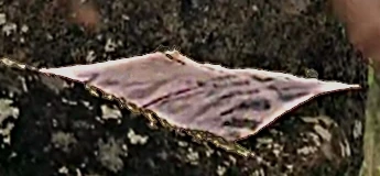 Image:Ben'sRadioTowerMapBottomEnhanced.jpg
