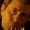 Immagine:FrancisH-m.jpg