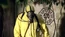 Uniforme HAZMAT