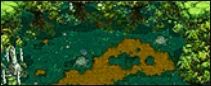 image:pvp1.jpg