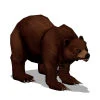 Image:Img_Bear.jpg