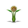 Image:Img_SunflowerS01.jpg