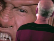 All your boob are belong to us!