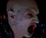PICARD!!!!!!