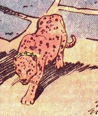 Merlin the Leopard (New Earth)
