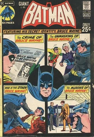 Batman 233.jpg