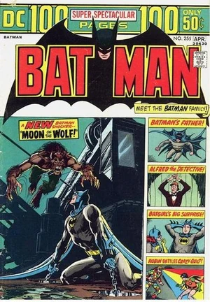 Batman_255.jpg