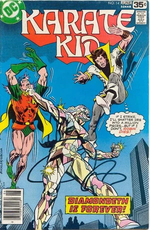Karate Kid 14.jpg