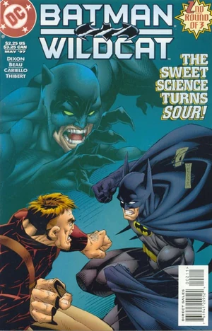 Batman Wildcat 2.jpg
