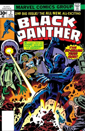 Black Panther 2.jpg