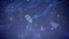 Asteroids