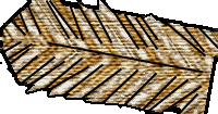 Image:Mirror capt-vest.png