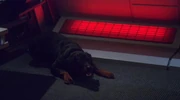 Porthos' Gegenstück.