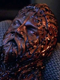 Ein "Nachtwesen" auf der Krankenstation der USS Voyager