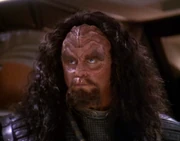 Martok der Kommandant der Flotte - ein Gründer