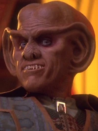 Quark (2375)