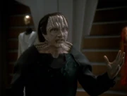Die Rechtfertigung
