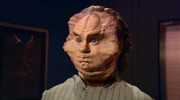 Phlox' Abwehrreaktion beendet eine Kneipenschlägerei.